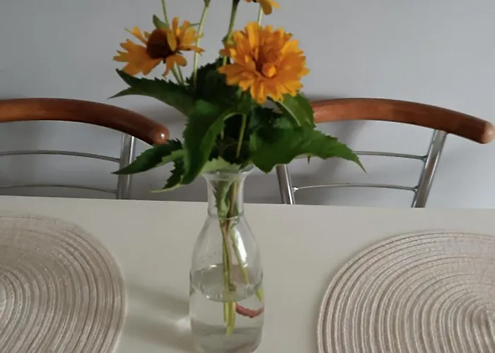 Parkowe Ranczo Apartment